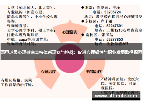 西甲球员心理健康支持体系现状与挑战:促进心理韧性与职业发展路径探索 西甲球员心理健康支持体系现状与挑战:促进心理韧性与职业发展路径探索